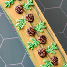 Load image into Gallery viewer, Roasted Pine Cone Soap with Coconut Milk