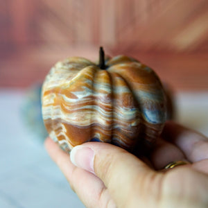 Pumpkin Spice Life Soap with Coconut Milk